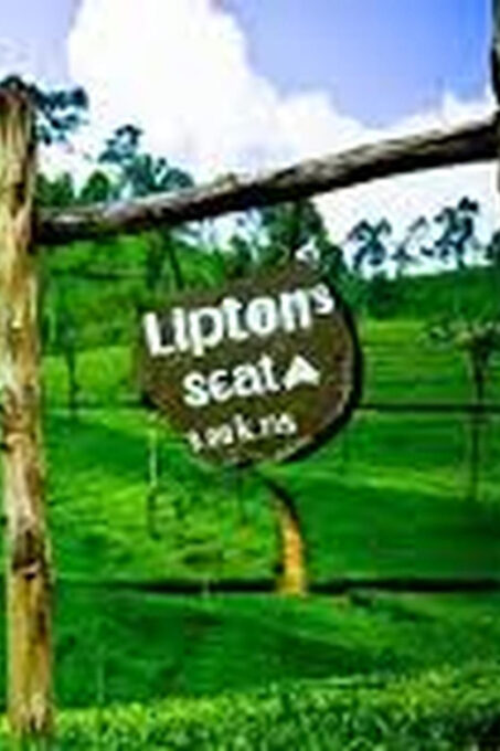 Ella :- Private TukTuk Transfer to Liptonseat & Tea Factory - Dabetenna Tea Factory Tour