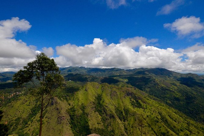 Ella Rock Hiking Tours ( Sunrise-Tour ,Good Morning Tour,Sunny Afternoon Tour ) - Tips for a Great Hiking Experience