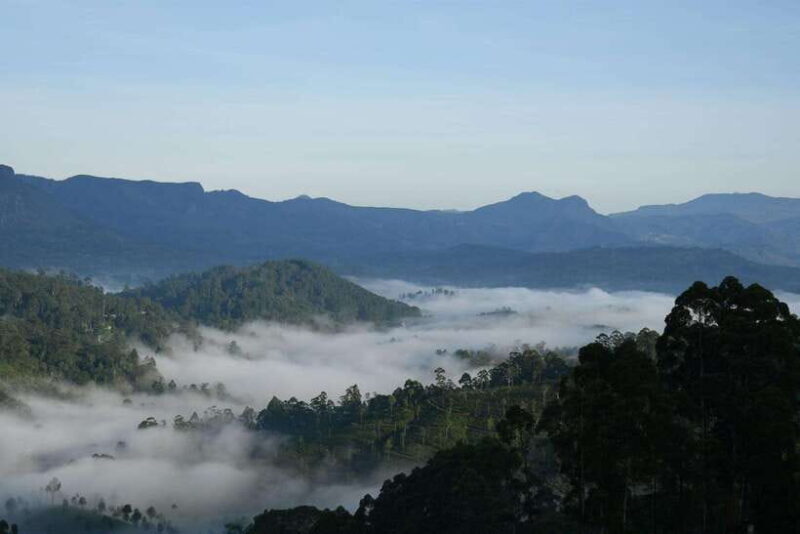Ella: The Pekoe Trail Stage 16 - Ella to Demodara - The Overall Experience: Walking Through Sri Lanka’s Heartland