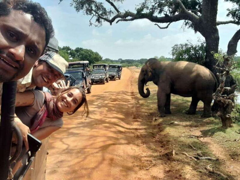 Ella: to Ella after #Yala National Park safari tour - A Closer Look at the Yala Safari Tour