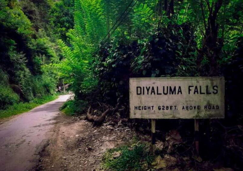 Ella: Tuk Tuk Tour to Diyaluma and Secret Waterfalls - A Closer Look at the Tour Experience