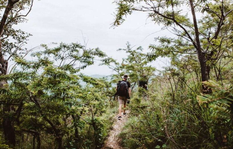 Ella: Tuk Tuk Tour to Diyaluma and Secret Waterfalls - Practical Tips for Your Trip