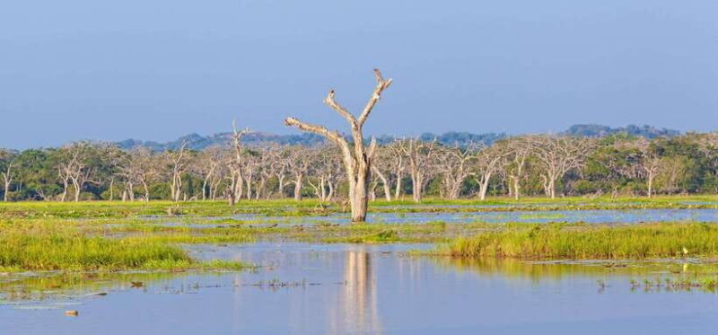 Ella - Udawalawa Safari - Drop to Mirissa/Weligama/Galle - Analyzing the Value