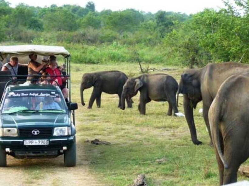 Ella: Udawalawe, Yala National Parks 2-Day Tour & Transfers - Who Should Consider This Tour?