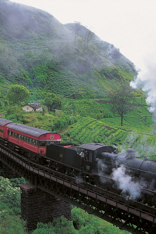 Ella Visit From Kandy by Private Transportation With Guide - Tour Flexibility