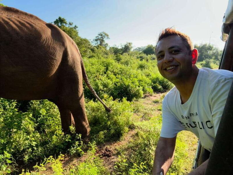 Ella: Yala safari & drop Tangalle/ Hiriketiya/ Mirissa/Galle - The Value of a Private Safari
