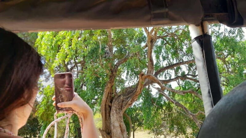 Ella: Yala safari tour w local guide tush & Drop at Tangalle - Analyzing the Value