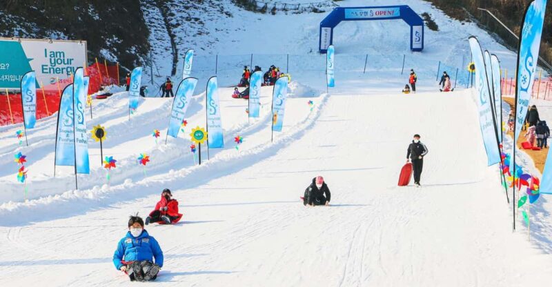 Elysian Ski Resort_ Snow Hill (Snow Sled) Day Tour - Key Points