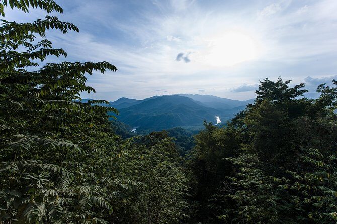 Emerald Falls Canadian Tour & Nature Experience - Introduction: What to Expect from the Emerald Falls Tour