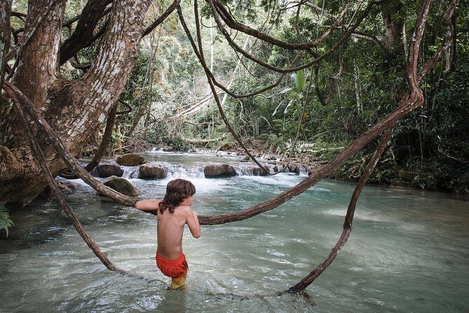 Emerald Falls Canadian Tour & Nature Experience - Practical Tips for Your Day Out