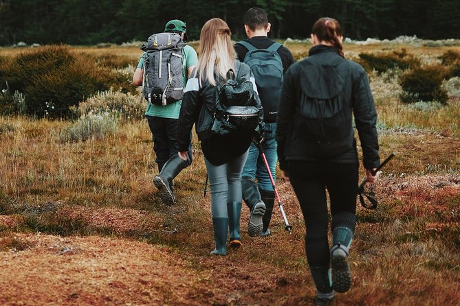 Emerald Lagoon Trekking - Highlights From Customer Feedback