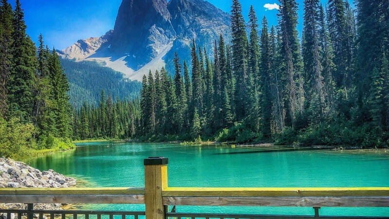 Emerald Lake, Moraine, Louise, Johnston Canyon & Banff Town - A Deep Dive Into the Sights and Experience