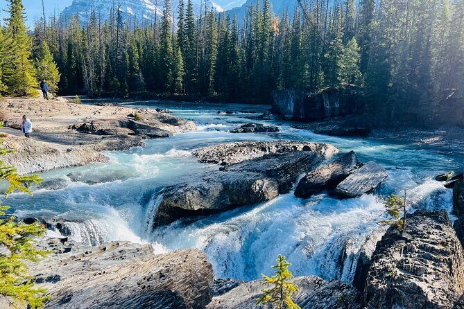 Emerald Lake,Natural Bridge, Peyto Lake Small Group Half Day Tour - Who Might Want More