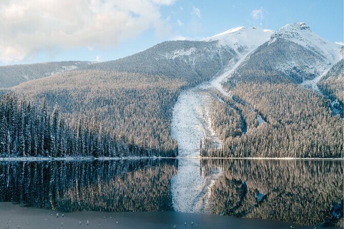 Emerald Lake,Natural Bridge, Peyto Lake Small Group Half Day Tour - FAQ