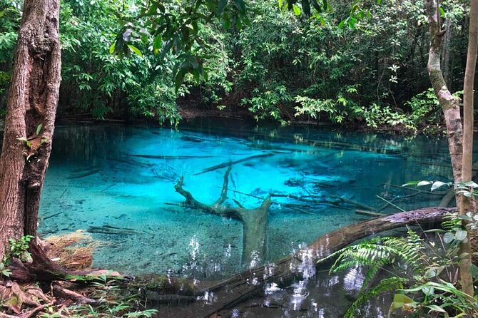 Emerald Pool: Jungle Tour, Private Full Day With Lunch - Emerald Pool Experience