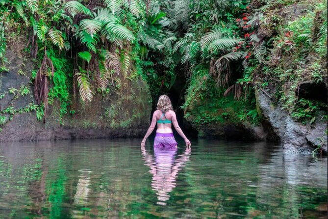 Emerald Pool Trafalgar Falls Mega Fun Tour - First Stop: Emerald Pool Nature Trail