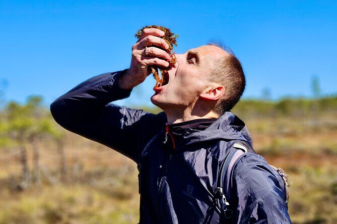 emeri Bogs Adventure: Explore Wetlands In Bog Shoes - The Experience: A Deep Dive into the Kemeri Boglands