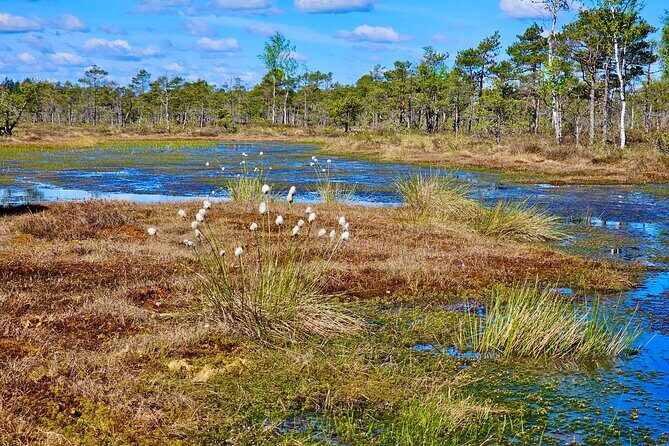 emeri Bogs Adventure: Explore Wetlands In Bog Shoes - FAQs