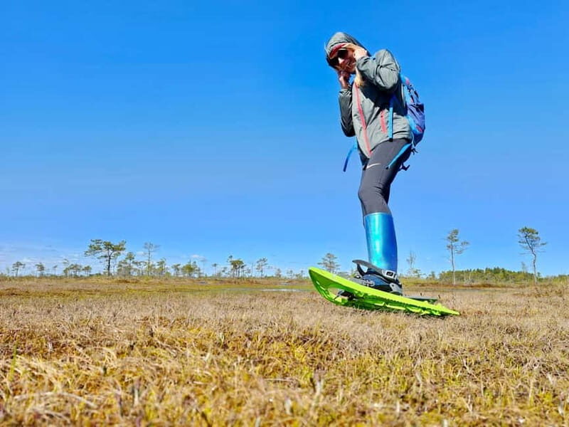 emeri Bogs Adventure: Explore Wetlands In Bog Shoes - Who will love this?  