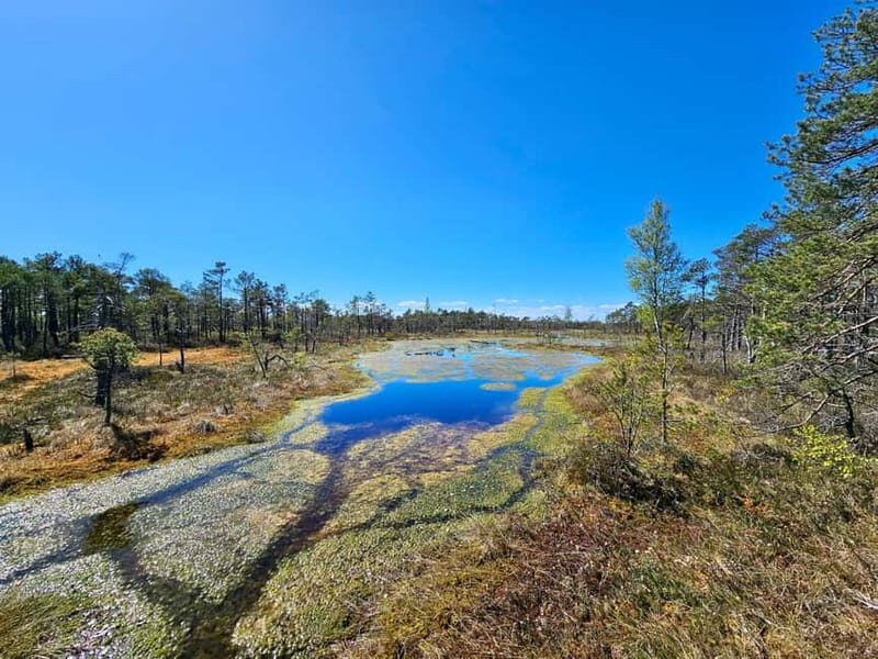 emeri Bogs Adventure: Explore Wetlands In Bog Shoes - FAQs