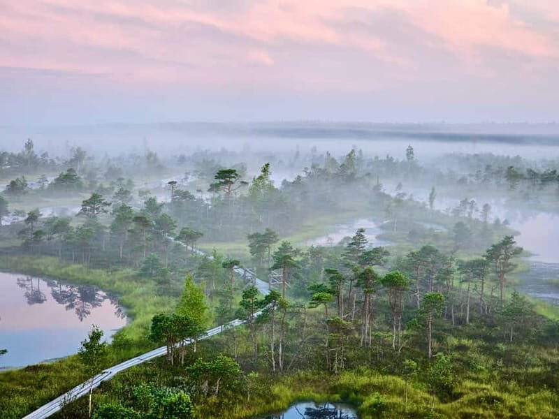 emeri Great Bog With Optional Sunrise & Jrmala Visit - An Honest Look at the Great Emmeri Bog Experience