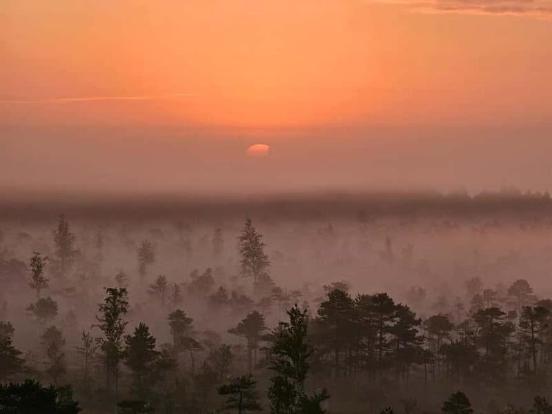 emeri Great Bog With Optional Sunrise & Jrmala Visit - Authentic Experiences and Real People’s Impressions