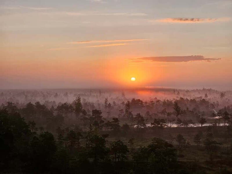 emeri Great Bog With Optional Sunrise & Jrmala Visit - Final Thoughts