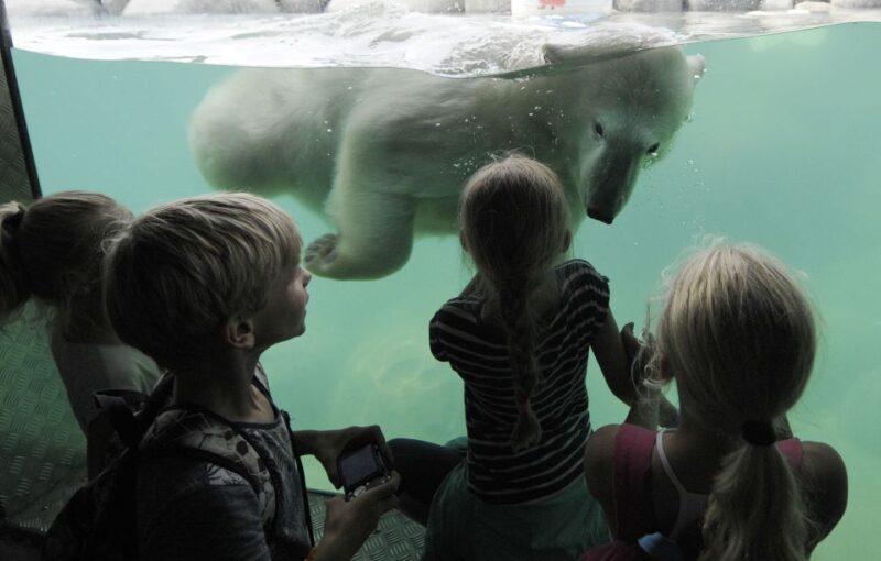 Emmen: Wildlands Adventure Zoo and Rimbula River Boat Ride - Experience Highlights