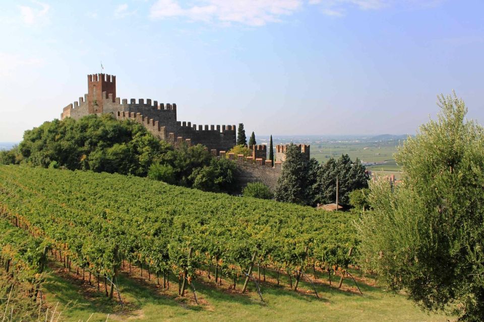 Emotional Wine Tasting in a Castle Just Steps From Verona - Key Points