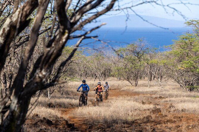 Emountain Bike Tour Maui | Experience Tour  Private Ranch - Who Should Consider This Tour?