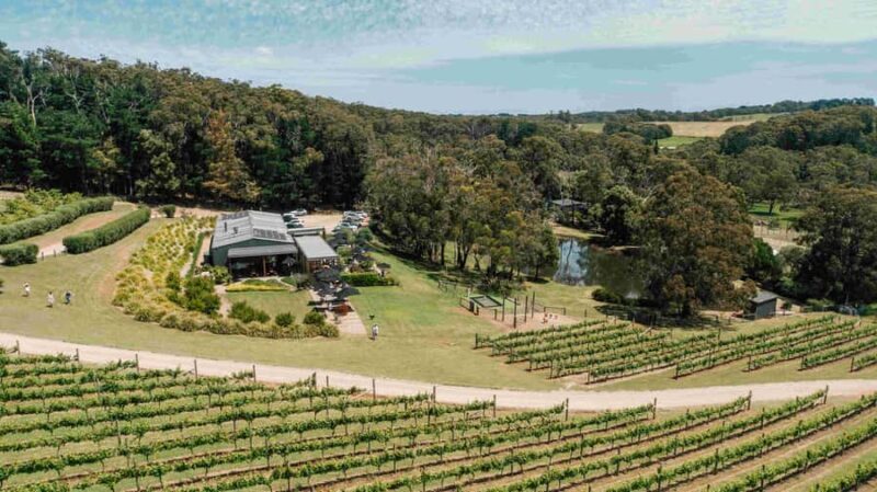 Enchanted Adventure Admission with Lunch - The Practical Side: What to Know Before You Go