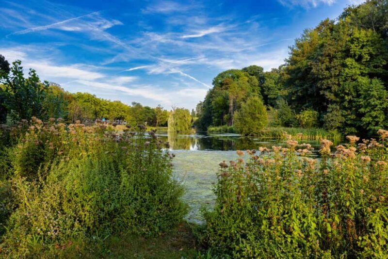 Enchanting Brussels Private Tour: History & Culture Unveiled - Who Will Benefit Most From This Tour?