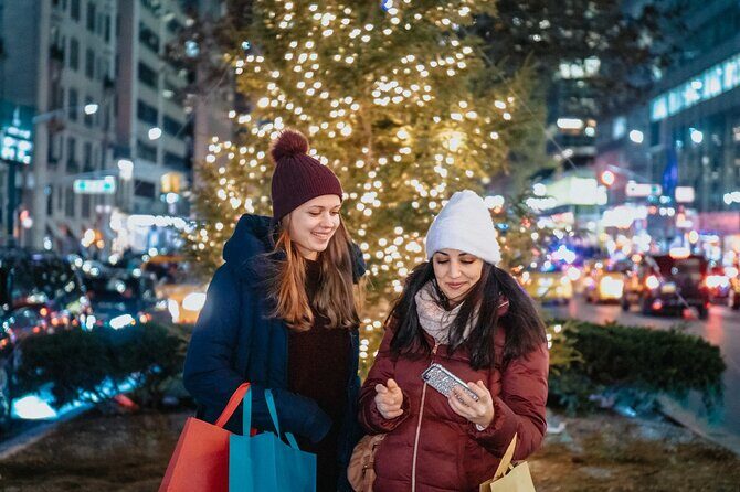 Enchanting Christmas Private Tour in Magical Houston - Discovery Green: Ice Skating and Holiday Lights