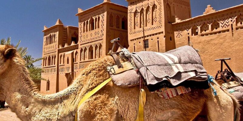 Enchanting Desert Journey 3 Days From Marrakech to Fez - Travel Preparations
