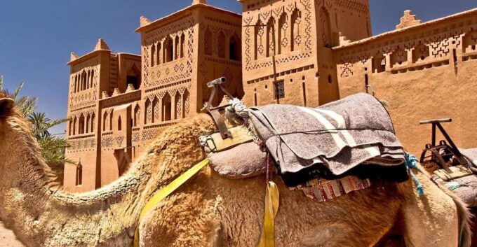 Enchanting Desert Journey 3 Days From Marrakech to Fez - Booking and Cancellation