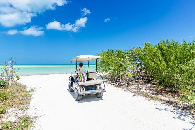Enchanting Holbox Tour. Experience the paradisiacal beaches of the island. - Why This Tour Might Be Perfect for You