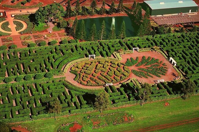 Enchanting Small Group Circle Island Tour Across Oahu Paradise - Why This Tour Offers Value and Authenticity