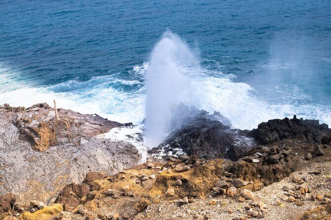 Enchanting Small Group Circle Island Tour Across Oahu Paradise - Who Should Consider This Tour?
