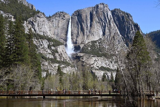 Enchanting Yosemite National Park Tour From San Francisco - Pickup and Communication Details