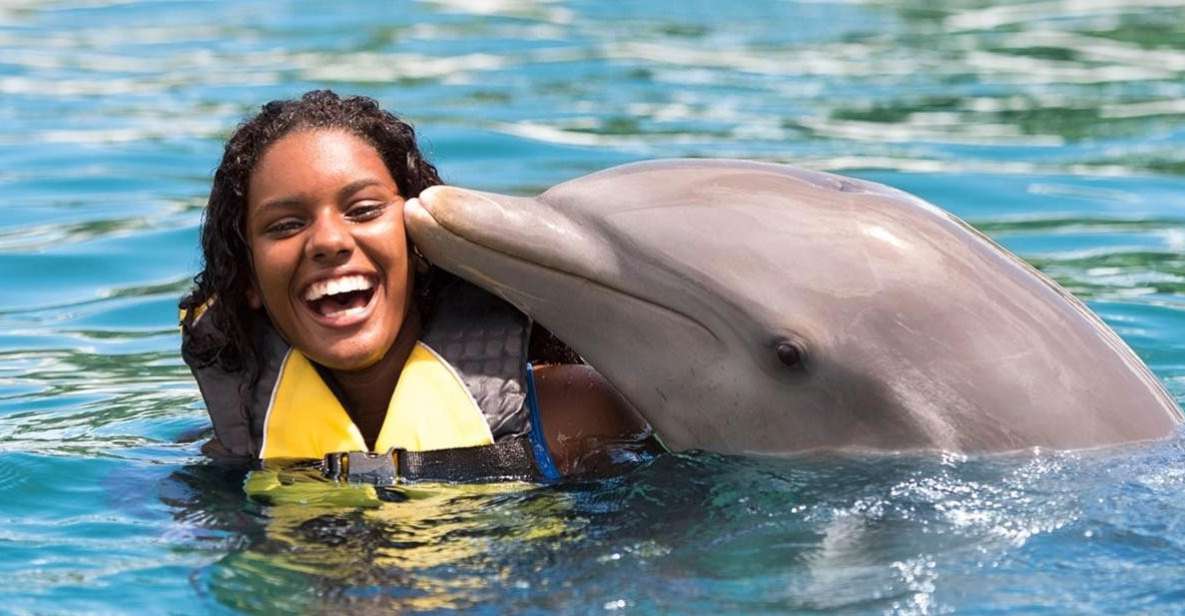 Encounter With Sea Lions and Sharks in Puerto Plata - Key Points