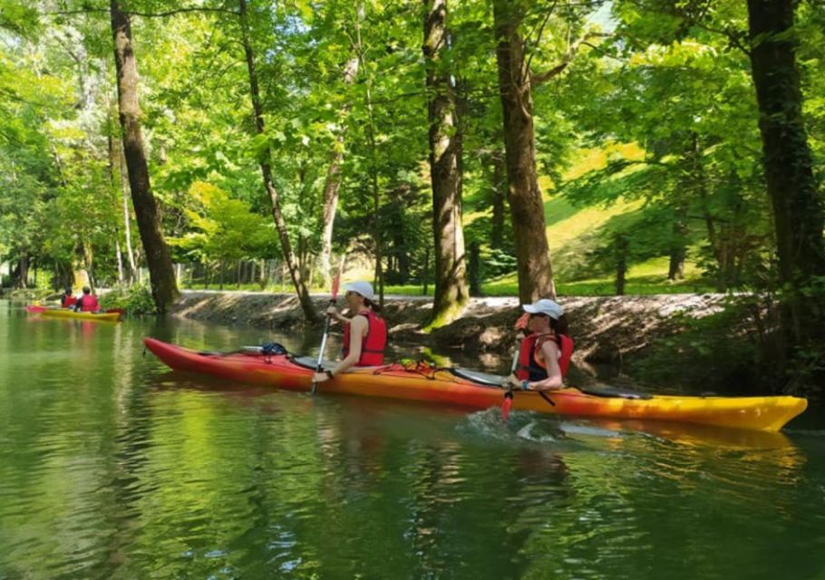 Endine Lake: Half Day Kayak Trip - Key Points