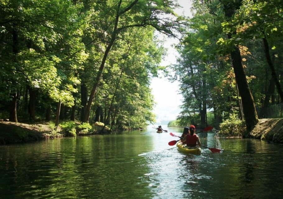 Endine Lake: Half Day Kayak Trip - Experience Highlights