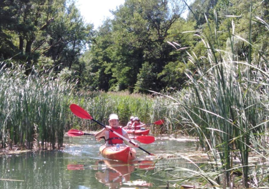 Endine Lake: Half Day Kayak Trip - Whats Included