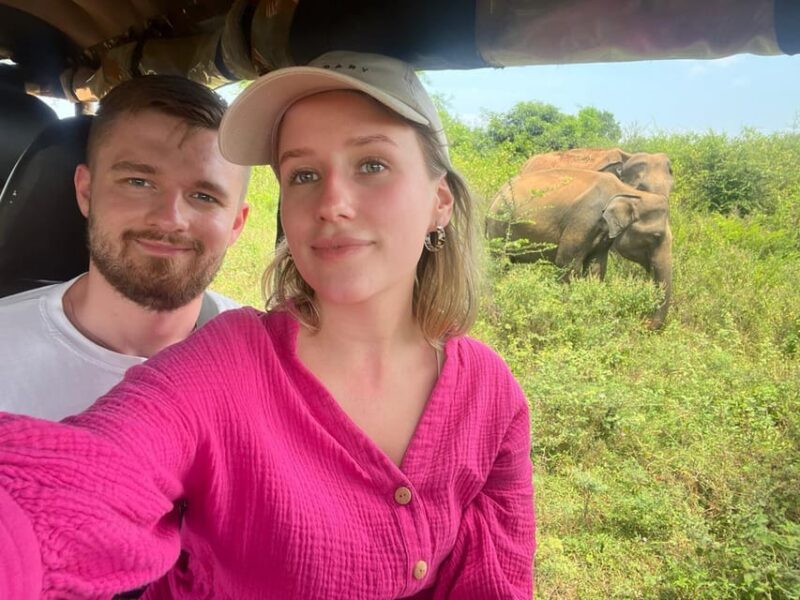 English - Safari Experience