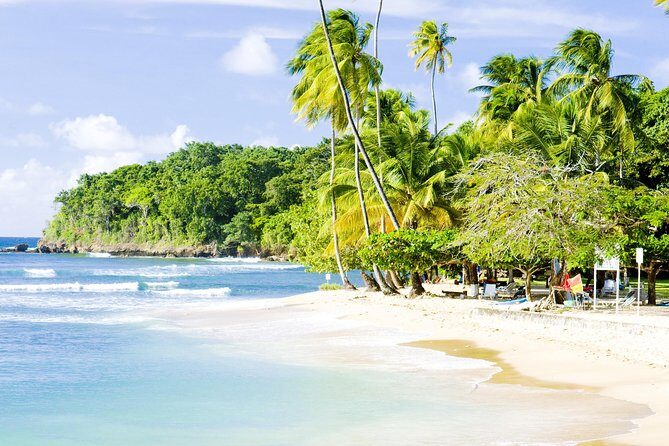 Englishman's Bay Day Trip with Lunch - Authenticity and Authentic Experiences