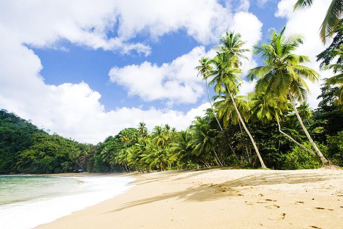 Englishman's Bay Day Trip with Lunch - Analyzing the Cost and Value