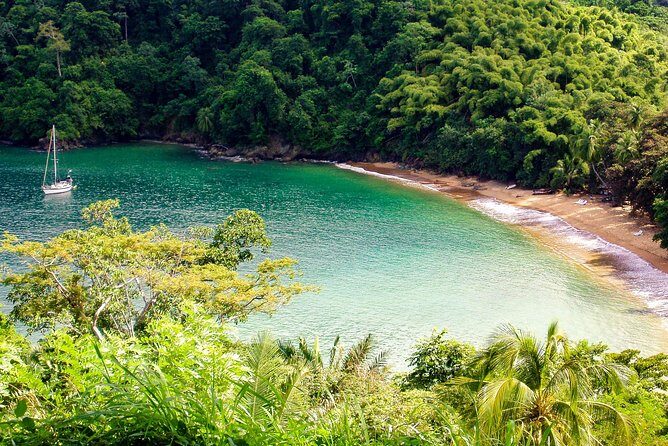 Englishman's Bay Day Trip with Lunch - Who Should Book This Tour?