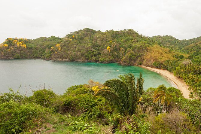 Englishman's Bay Day Trip with Lunch - Final Thoughts: Is It Worth It?