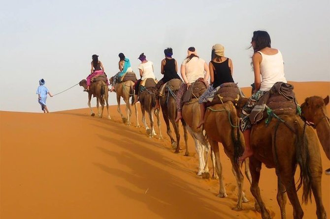 Enjoy 1 Nights in Luxury Berber Tents , Camel Trek,Sandboarding,Atv QUADS - Pricing and Booking Information