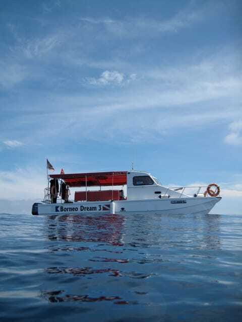 Enjoy 3 Fun Dives in Kota Kinabalu | Certified Divers - An Honest Look at the Kota Kinabalu Diving Tour